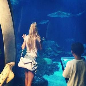 Meet your Posher, Nikki